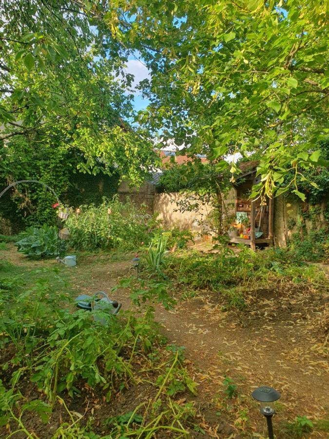 Le Clos Du Moulin Dijon,Sa Piscine, Son Jardin, Au Calme, La Campagne A La Ville Діжон Екстер'єр фото
